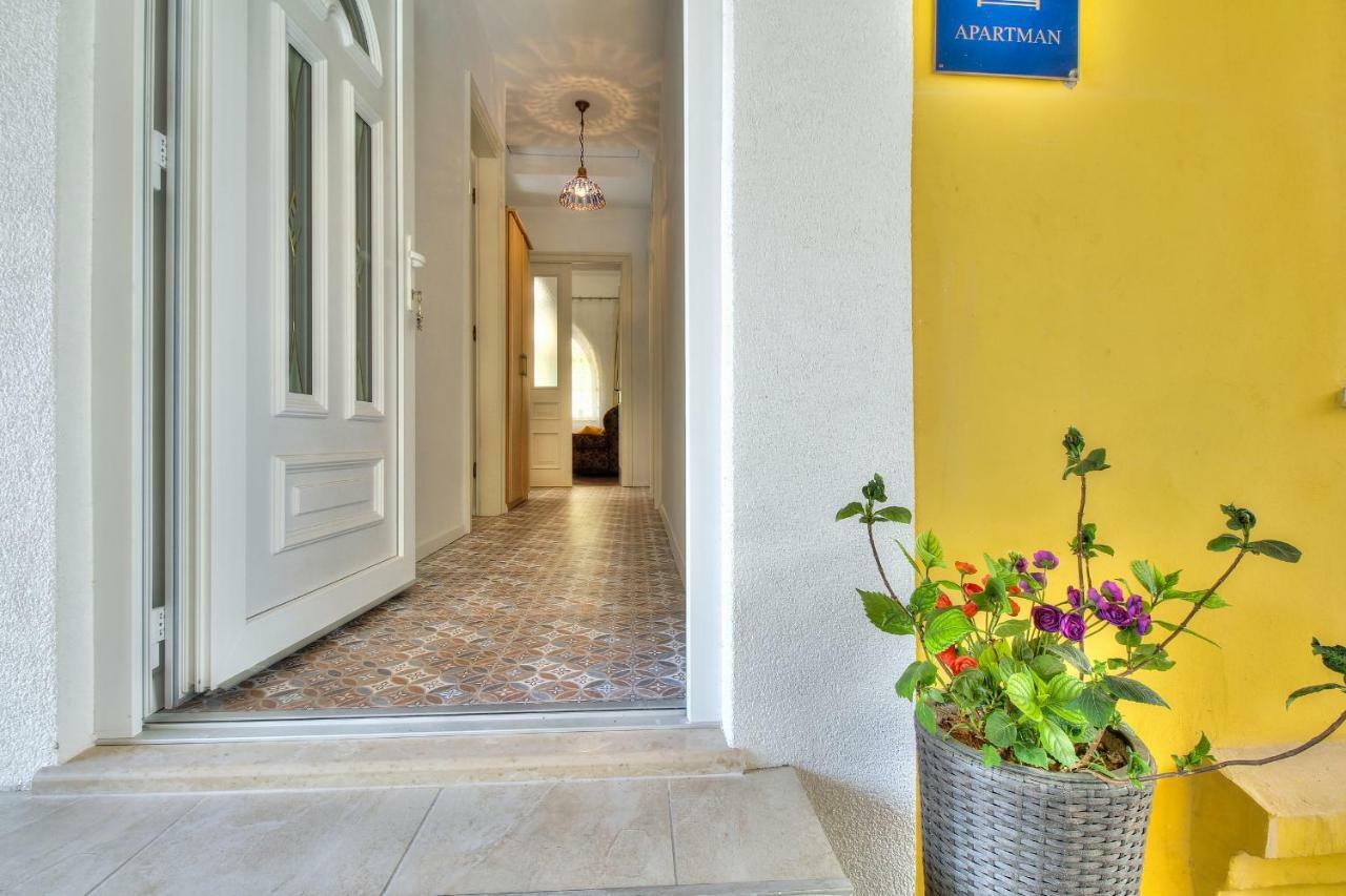 Boutique Apartman Villa Mediteran 波雷奇 外观 照片